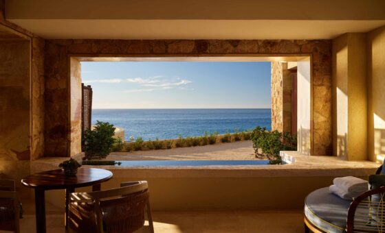 WALCP Q2LV 226 01 0337 web res