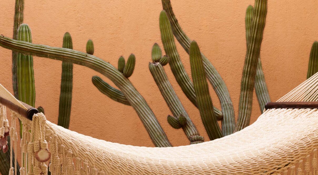 WALCP K1J 24 02 1846 web res