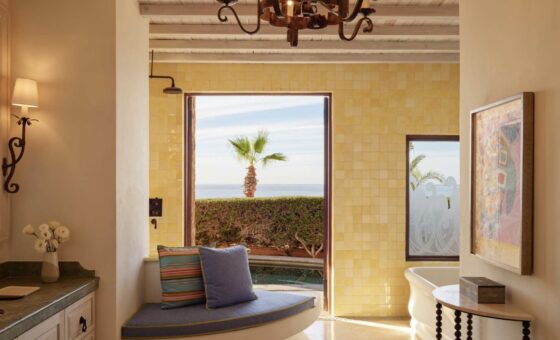 WALCP_K1J_24_01_1837_web_res_vineta