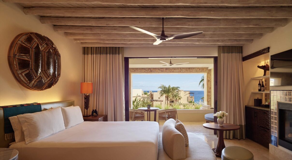 WALCP_K1_411_04_0179_web_res_vineta