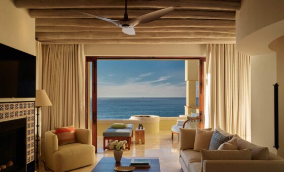 WALCP K1RLU1 244 02 1541 web res