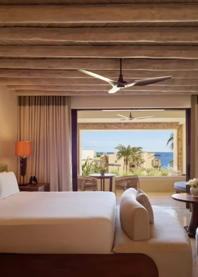 Walcp k1 411 04 0179 web res vineta