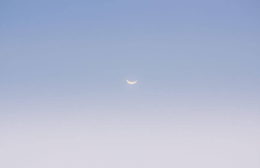 WAPedregal JoeThomas 080121 UNEDITED 163