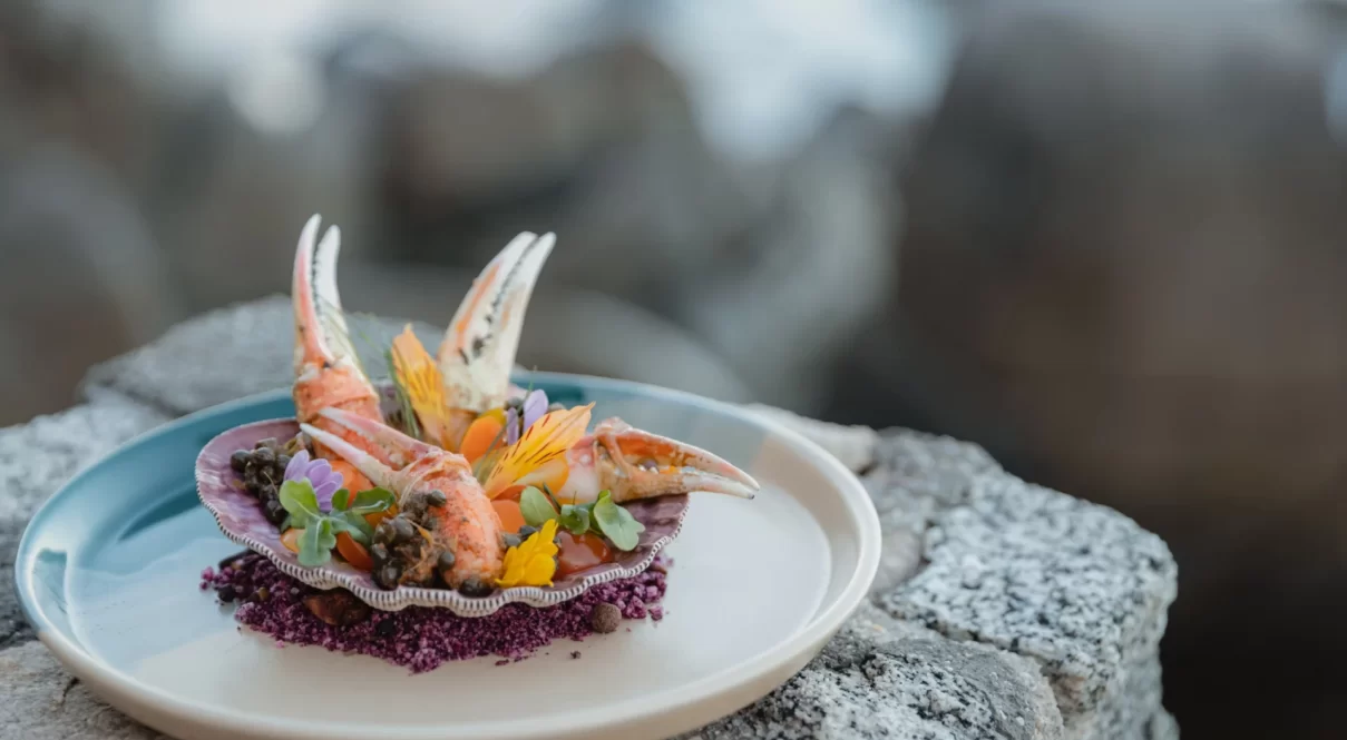 Farallón de Ro Montoya Plato 2 1