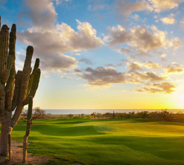 El cardonal sunset golf