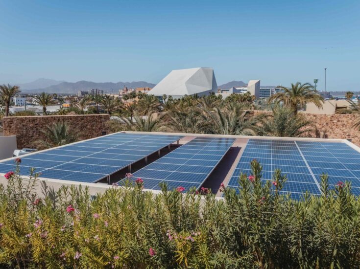 A Brighter Future: The Pedregal Legacy