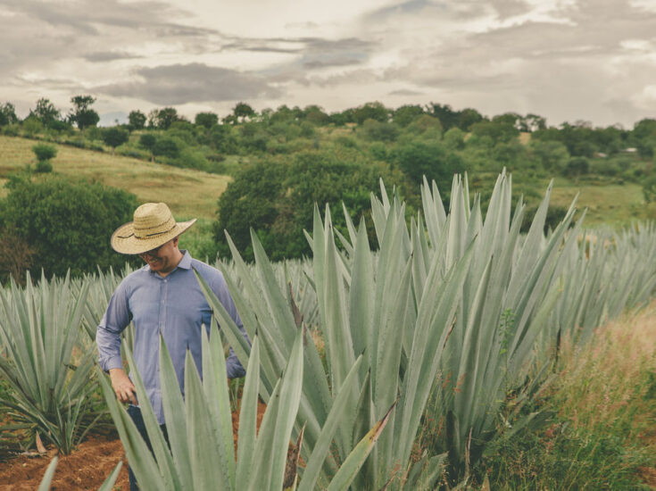 DISCOVER THE SPIRIT OF MEXICO