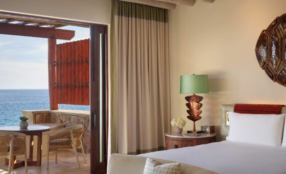 WALCP K1JO 221 04 1190 web res