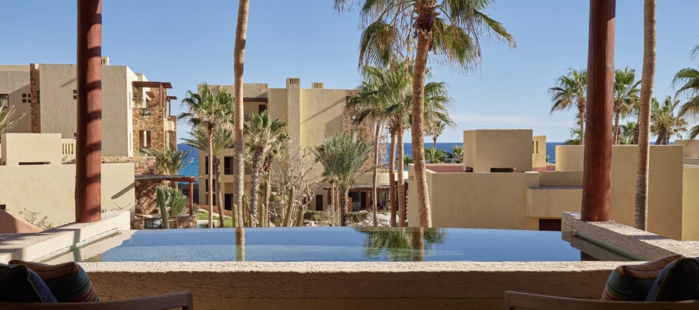 WALCP_K1VRR3_52_01_1655_web_res_vineta