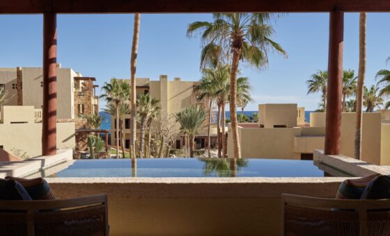 WALCP_K1VRR3_52_01_1655_web_res_vineta