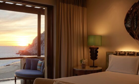 WALCP_K1RVU4_940_07_1493_web_res_vineta