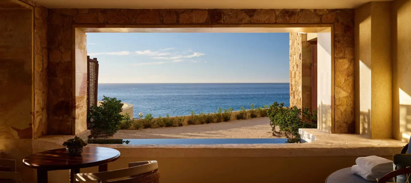 WALCP Q2LV 226 01 0337 web res