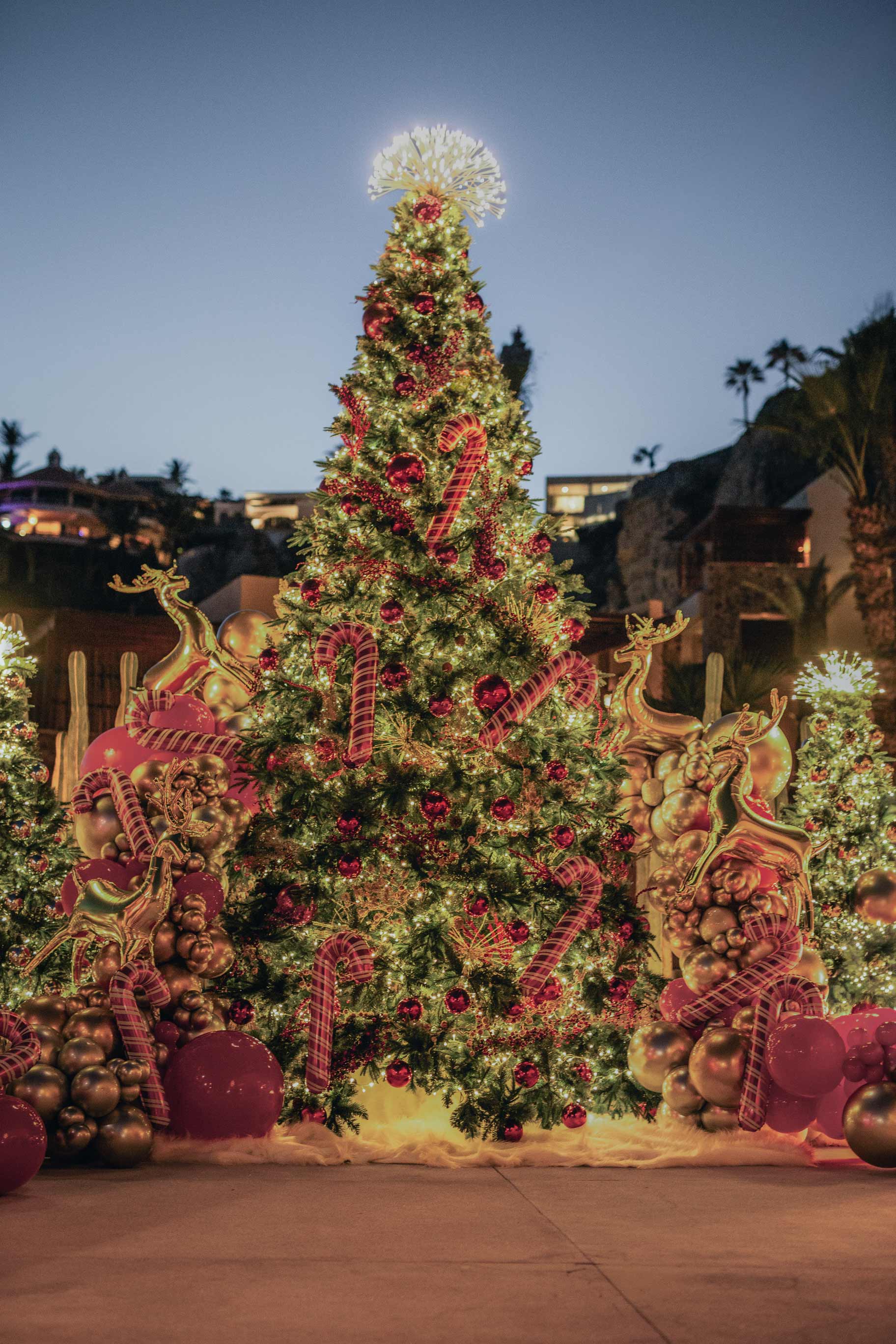 Festive 2025 Day1 by Cabonoise Web Res 6935