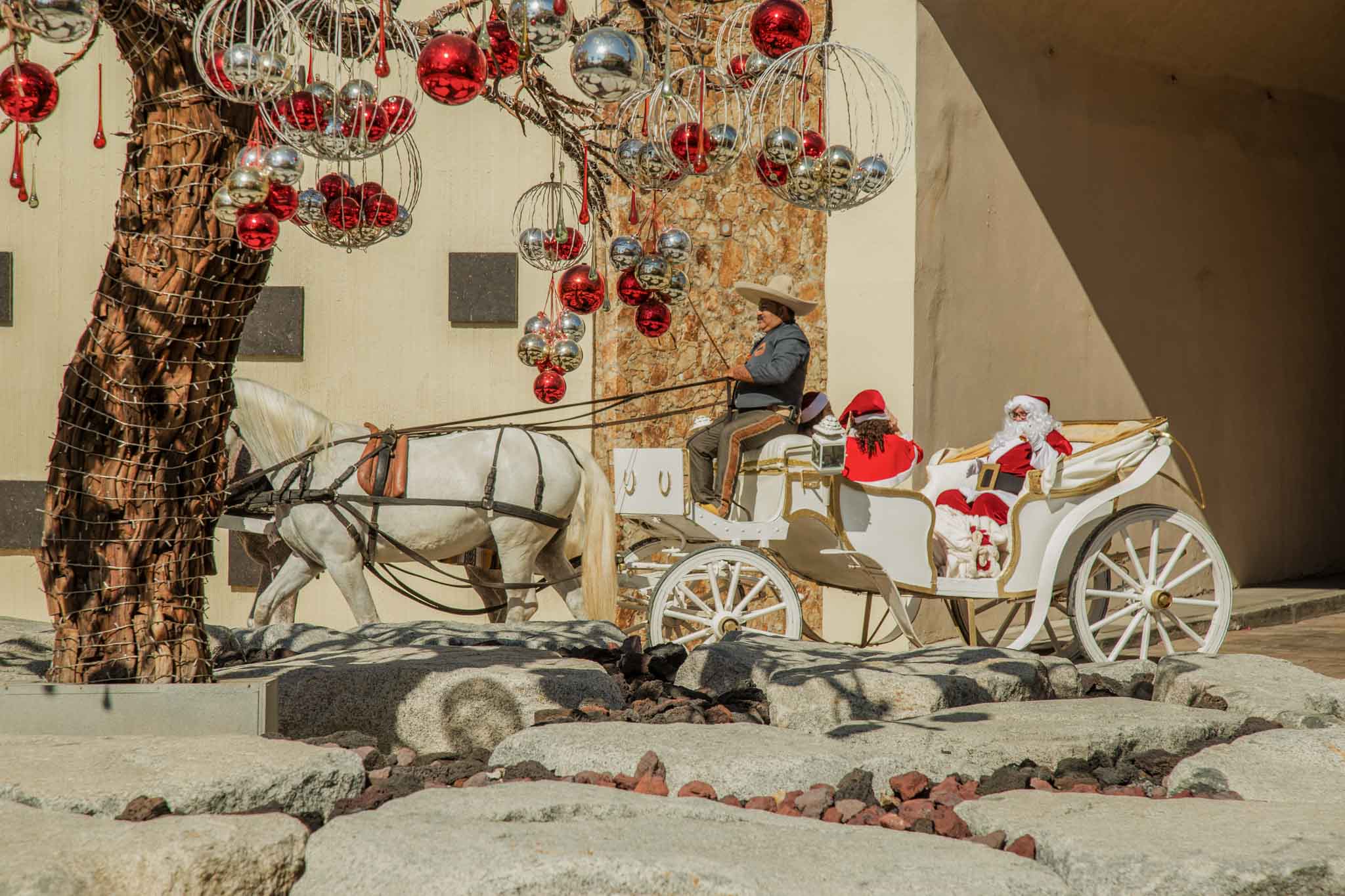 Festive 2025 Day4 by Cabonoise Web Res 7243
